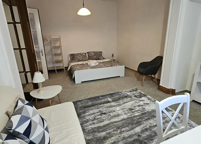 Apartment Vila Husova